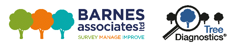 Barnes Associates