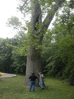 TRU Survey at Rock Creek Park, Washington, DC