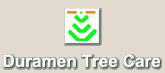 Go to Duramen Tree Care site