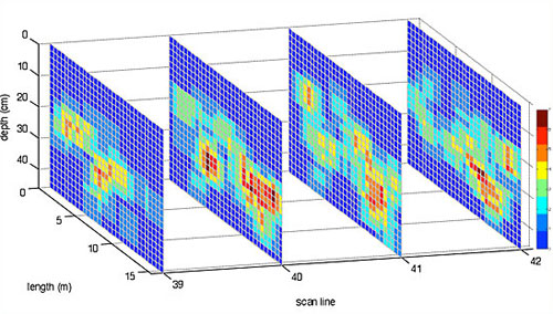 TreeRadar Root Density Map 2